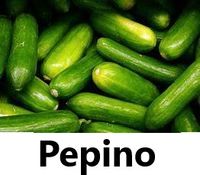 PEPINO (FILEminimizer)
