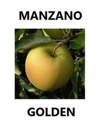 manzano-golden (FILEminimizer) (FILEminimizer)